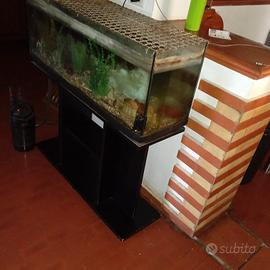 acquario 