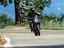 Immagine 10