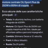 bicicletta elettrica torpado 