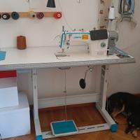 Macchina per cucire industriale Jack A 2