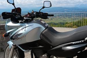 Suzuki freewind 