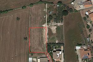 Terreno agricolo 1300 Mt