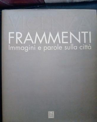 Vicenza: Frammenti. Immagini e parole sulla città