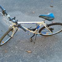 bici MTB 