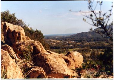 100 ha. a 7 km da capo ferrato