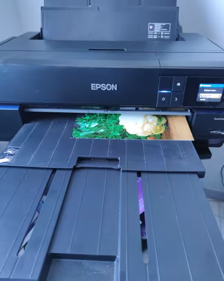 stampante epson p800  funzionante100%(come nuova)