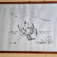 Disegno di uccello con cornice 