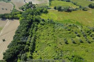 Appartamento Ostra [A4297106]