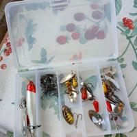 attrezzatura pesca spinning