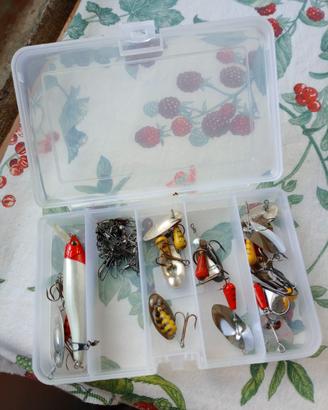 attrezzatura pesca spinning