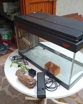 acquario pesci con illuminazione, e accessori.
