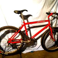 Cannondale MTB perfetta