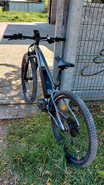 bici elettrica