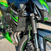Kawasaki Z800 Performance - nessun lavoro da fare