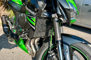 Kawasaki Z800 Performance - nessun lavoro da fare
