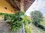 Immagine 23