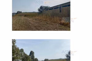 Terreno Agricolo Siculiana [A4353787]