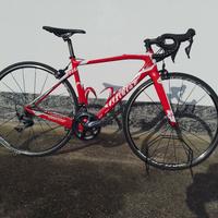 Willer triestina GTR      s