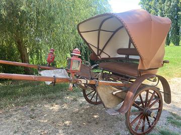 Calesse per cavallo grande