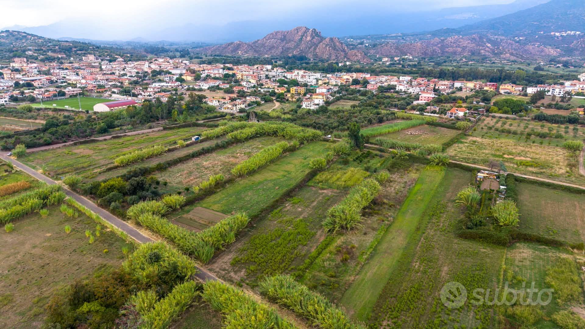 Terreno a Lotzorai - Vista 3