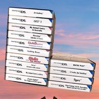 14 giochi per Nintendo Ds (prezzo trattabile)