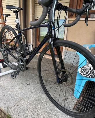 Specialized roubaix