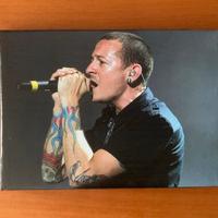 Quadro di Chester dei Linkin Park
