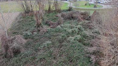 Terreno di 5180 m² a Olginate