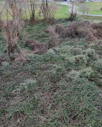 Terreno di 5180 m² a Olginate