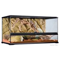 Terrario ExoTerra 90x45x45 con supporto lampade