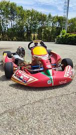Go Kart Birel KZ - Revisionato Completamente