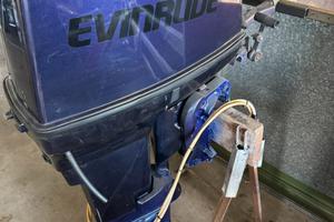 evinrude 40 fuoribordo