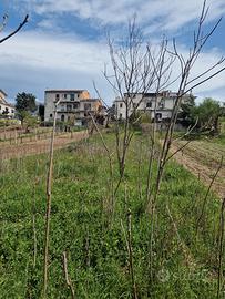 Rustico da terminare / ristrutturare a Sulmona (AQ