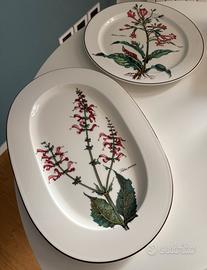 Set tazzine