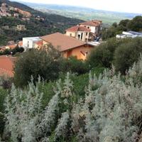 Terreno edificabile - Ozieri Rif: 201-51