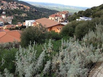 Terreno edificabile - Ozieri