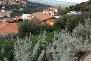 Terreno edificabile - Ozieri