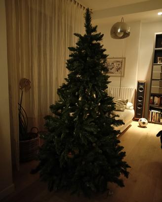 albero di Natale 