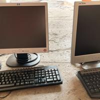 2 monitor fissi