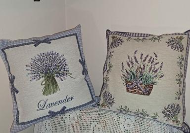 2 cuscini nuovi  (+ 3 in omaggio)