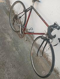 bicicletta Colnago 