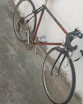 bicicletta Colnago 
