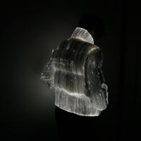 Giubbotto Moncler x Palm Angels