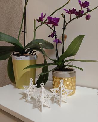 Kit 3pz di Addobbi natalizi stella di Natale 3d