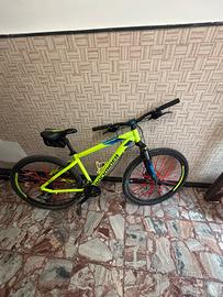 bicicletta