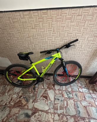 bicicletta