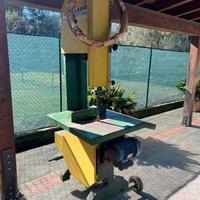 Sega a nastro legna da ardere