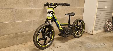V2 EBIKE
