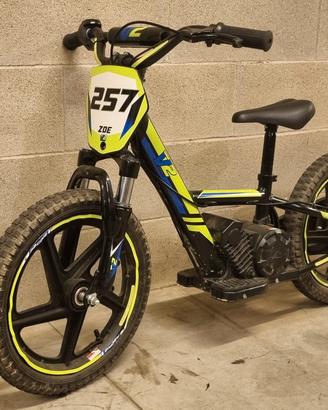 V2 EBIKE