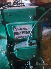 motori intermotor